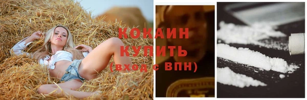 эйфоретик Медвежьегорск