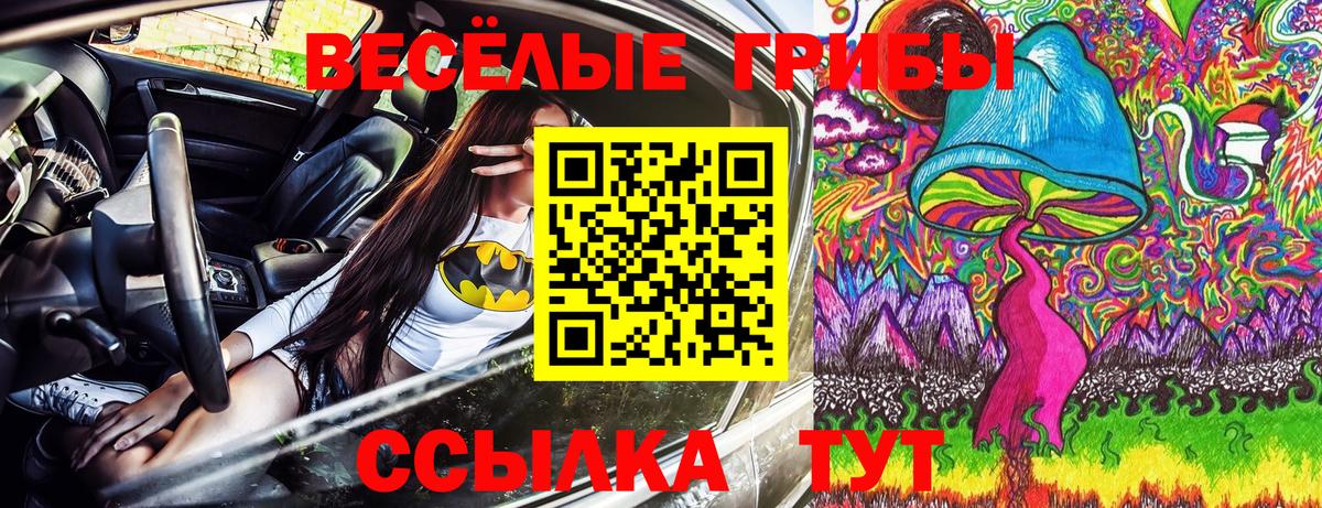 Владикавказ  Галлюциногенные грибы Psilocybine cubensis  Вход с VPN 