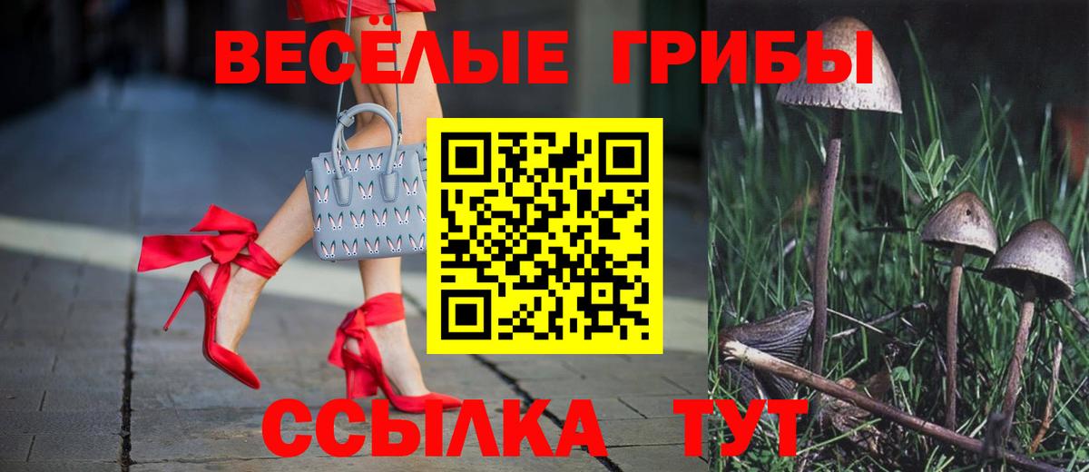Псилоцибиновые грибы Psilocybine cubensis Владикавказ