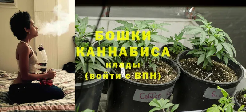 даркнет сайт  Владикавказ  Канабис THC 21% 